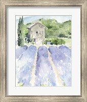 Lavender Fields I Fine Art Print