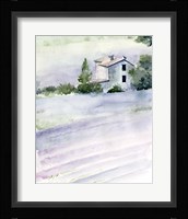 Lavender Fields II Framed Print