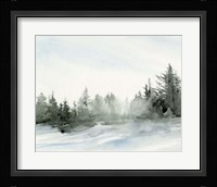 Evergreens in the Distance I Framed Print