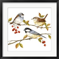 Birds & Berries I Fine Art Print