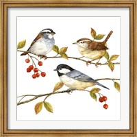 Birds & Berries I Fine Art Print