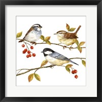 Birds & Berries I Framed Print