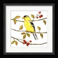 Birds & Berries II Fine Art Print