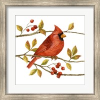 Birds & Berries III Fine Art Print