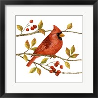 Birds & Berries III Framed Print