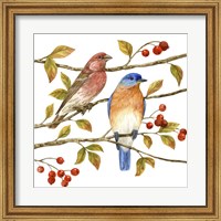 Birds & Berries IV Fine Art Print