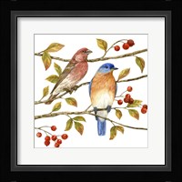 Birds & Berries IV Fine Art Print