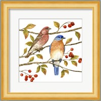 Birds & Berries IV Fine Art Print