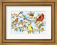 Birds & Berries V Fine Art Print