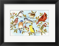 Birds & Berries V Fine Art Print