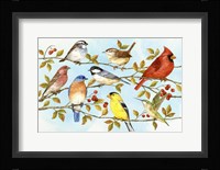 Birds & Berries V Fine Art Print