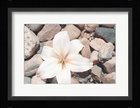 Pebble Beach I Framed Print