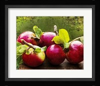 The Harvest II Framed Print