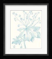 Botanical Study in Spa I Fine Art Print