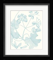 Botanical Study in Spa II Fine Art Print