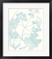 Botanical Study in Spa II Framed Print