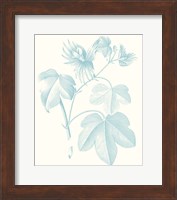 Botanical Study in Spa IV Fine Art Print