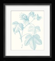 Botanical Study in Spa IV Fine Art Print