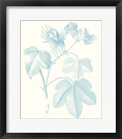 Botanical Study in Spa IV Framed Print