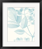 Botanical Study in Spa V Framed Print