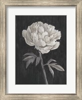 Black and White Flowers I Fine Art Print