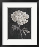 Black and White Flowers I Fine Art Print
