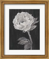 Black and White Flowers II Fine Art Print
