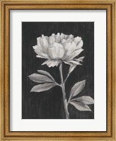 Black and White Flowers III Fine Art Print