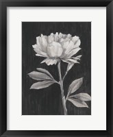 Black and White Flowers III Framed Print