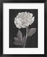 Black and White Flowers IV Fine Art Print