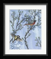 Coexist II Framed Print