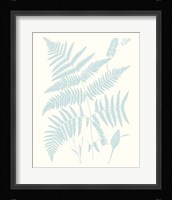 Serene Ferns I Fine Art Print