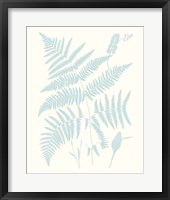 Serene Ferns I Framed Print