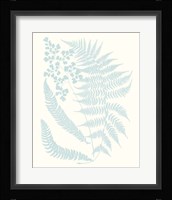 Serene Ferns II Fine Art Print
