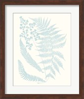 Serene Ferns II Fine Art Print