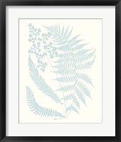 Serene Ferns II Framed Print