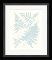 Serene Ferns IV Fine Art Print
