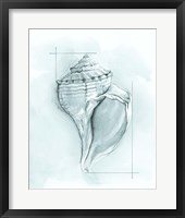 Coastal Shell Schematic I Fine Art Print