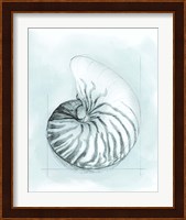 Coastal Shell Schematic II Fine Art Print