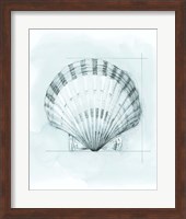 Coastal Shell Schematic III Fine Art Print