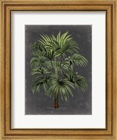 Dramatic Palm I Fine Art Print