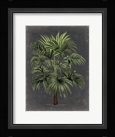 Dramatic Palm I Fine Art Print