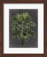 Dramatic Palm I Fine Art Print
