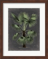 Dramatic Palm II Fine Art Print