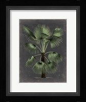 Dramatic Palm II Fine Art Print