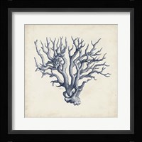 Coral Trio in Indigo I Framed Print