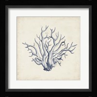 Coral Trio in Indigo II Fine Art Print