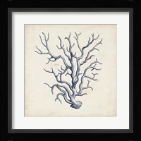 Coral Trio in Indigo III Framed Print