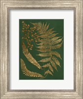 Gilded Ferns I Fine Art Print