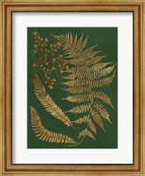 Gilded Ferns I Fine Art Print